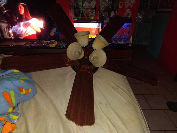 Hampton Bay ceiling fan 1