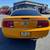 2008 Ford Mustang V6 Deluxe 2dr Fastback 6 thumbnail