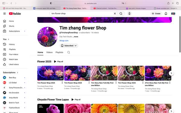 Lipstick Vine Flower hanger basket SOHO New York2025 1