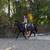 Gorgeous Black Quarter Horse for Sale 7 thumbnail