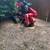 The Stump Guy~Stump Grinding/Stump Removal 5 thumbnail
