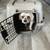 Pet Carrying Travel Crate and Kennel 13 thumbnail