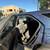 2015 Chevrolet Equinox For Sale ! 9 thumbnail