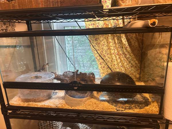 Reptile enclosure