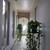 Let's make a deal?(Barter) I'll paint your house. 23 thumbnail