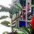 Colorful plants in cermic planters 12 thumbnail
