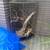 2 solid Vintage macaw parrot cages  Delivery available 3 thumbnail