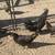 Ayam Cemani chickens for sale 1 thumbnail