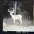 Hunting Land w/Cabin in Wisconsin 24 thumbnail