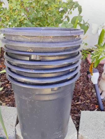 Five gallon plastic pots 1