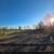 Horse boarding 2 thumbnail