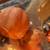 5 pumpkins new 2 thumbnail