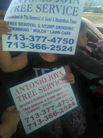 Trees 🎄🌳🎄🌳 service 1