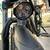 Electric Bike 17 thumbnail