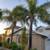CASH TO trim many trees, palm, large shrub, few homes, weed  Wack rear 2 thumbnail