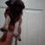 Full blooded pugs 1 thumbnail