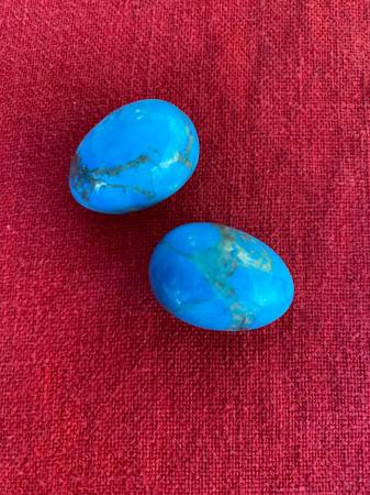 Genuine Two (2) Turquoise Eggs 1