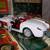 1957 CORVETTE DIECAST MODEL 1 thumbnail