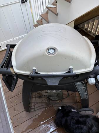 Weber Grill 1