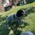 German shorthair pointers 8 thumbnail