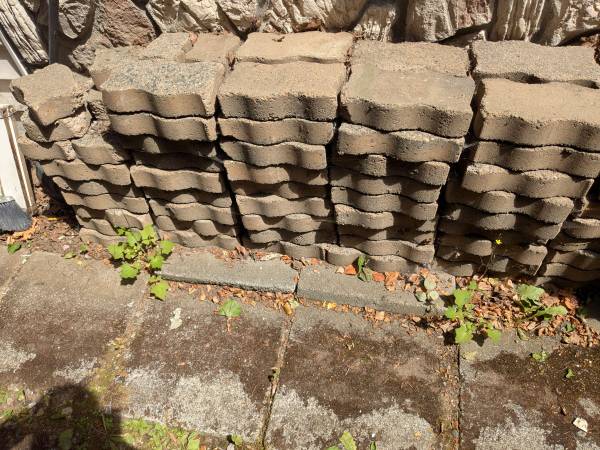 Bricks for Patio 1