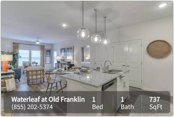 $1,260 / 1br - 737ft2 - A picture is worth a thousand words! Check this 1 bed 1 bath out! (Antioch)63924811880835121