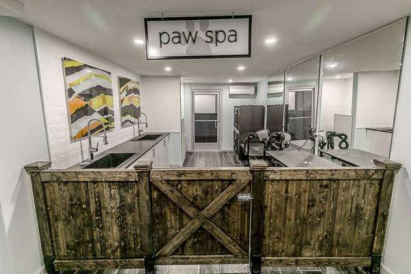 $1,810 / 2br - 1020ft2 - WE ARE PET FRIENDLY! NO BREED OR SIZE RESTRICTIONS!! (Cultural District)63664543857537120