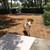 Pet Related Housing Issues? Pet / Sitting / Boarding short/long term 15 thumbnail