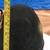 Vintage stadium speakers 7 thumbnail
