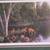 Beautiful Cottage Print 3 thumbnail