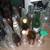 Vintage Old Collectible Glass Bottles; Delivery Possible 5 thumbnail