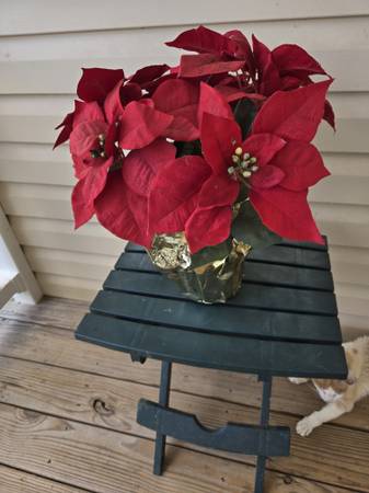 Small Green Fold Table/Artificial Red Poinsettia 1