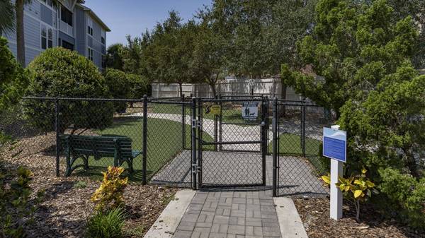 $1,803 / 1hab - 896ft2 - Parque para perros, Casa club, Área de parrilla al aire libre (St. Petersburg)63976135195906124