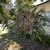 Beautiful Central Florida Bungalow 21 thumbnail