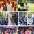 DJ Service- Limited Time Offer- 4 hours 320.00 lights included 2 thumbnail
