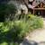R&R Landscaping Services LLC 14 thumbnail