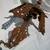 2 Art Deco Circa 1930s  5 Light Slip Shade Chandeliers All Orig. 13 thumbnail