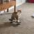 3 year old Cat 4 thumbnail