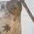 Mid Century Modern Gooseneck Floor Lamp 2 thumbnail
