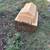 Dog houses 3 thumbnail