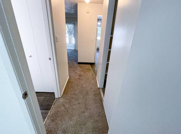 $1.365 / 2br - 2B en Halsey Street cerca de la Interestatal 84 - Espacio para comedor, Sala grande (Wilkes-Este)63841707242115121