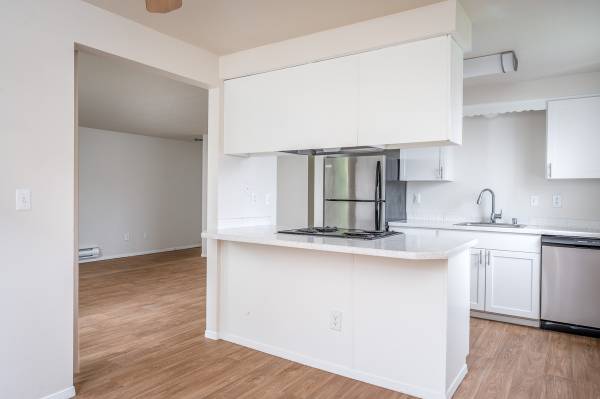 $1,400 / 1hab - 646ft2 - Guau, qué vista (Cascade Park)63831607098243122