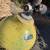 Scuba tank, aqualung 2 thumbnail