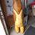 Bear Carved Wooden 3 thumbnail
