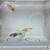 Yellow lapoard guppy,aquarium,fishtank 3 thumbnail