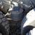 2009 International 5900I 17' 3-Axle Dump Truck 8 thumbnail