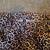 PANTALONES !! ANIMAL PRINT !! 4 thumbnail