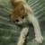 Kittys 10 thumbnail