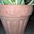 Cactus in pots/ plants 2 thumbnail