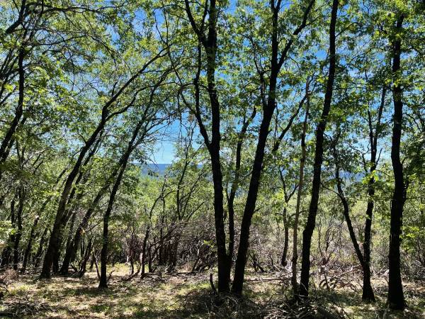 $149,000 17.26 Acres with Big Views, Gently Sloping Terrain, 20 Minutes to Town (Grass Valley)63952105427459121